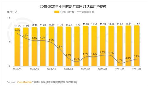 移动互联网研发与维护 中国市场的实践启示